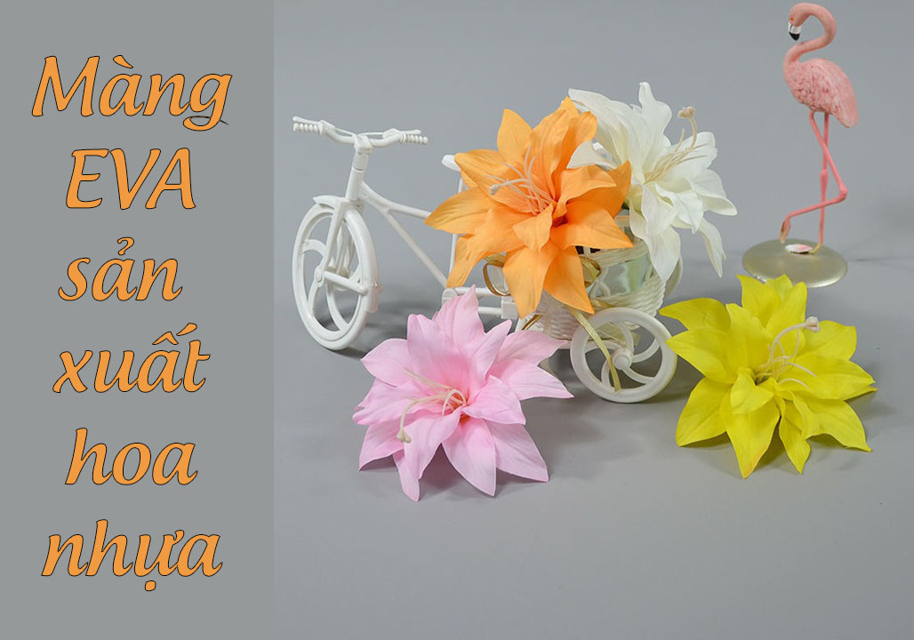 mang-eva-san-xuat-hoa-nhua-viet-nam